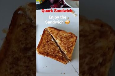 Quick and Easy Quark Sandwich Recipe | Healthy Sandwich | Quick Vegetarian Sandwiches