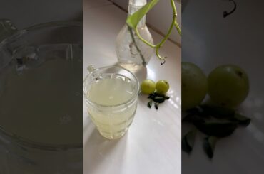 Amla juice recipe healthy version #shorts #viralshort #viralvideo #healthyversion #shortfeed