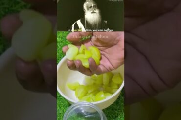 AMLA Honey Mix: The Ultimate Home-Made Immunity Booster | Healthy Amla Honey Recipe