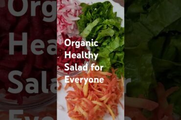 ORGANIC HEALTHY SALAD FOR YOU #youtubeshorts #organicfarming #viral #diet #anita'sorganicgarden