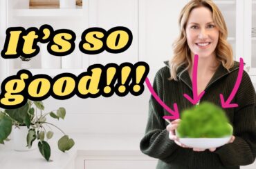 I made this EVERYDAY for 2 WEEKS!!!