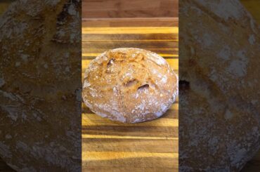 World Easiest Gluten-Free Bread | Part 1