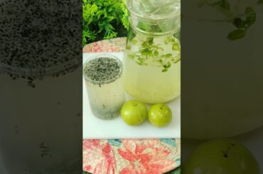 Detox water of Amla with subja seeds #ytshorts #shorts #shortsfeed #weightloss #amla#healthydrink