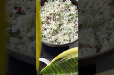 Episode 6/21 Healthy Food for Weight Loss or to Stay Fit #healthyfood  #weightloss  #eatingwell