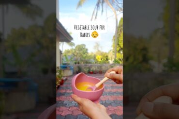 Healthy Vegetable Soup Recipe for Babies| Easy baby food ideas #babyhealthfood #babyfoodrecipe #baby