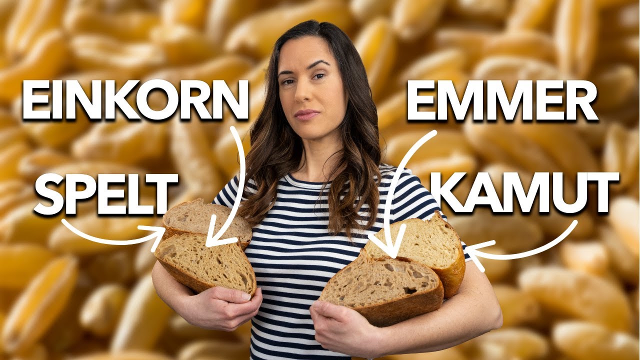 Battle of the Ancient Grains: Spelt vs Einkorn vs Emmer vs Kamut wheat Battle of the Ancient Grains: Spelt vs Einkorn vs Emmer vs Kamut wheat