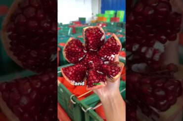 Eat pomegranates every day #health #healthtips #food #healthy #facts #healthyfood #nutrition #recipe