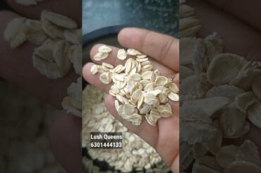 Lush Queens healthy recipes | Healthy breakfast recipes |weight loss recipies |  Healthy lifestyle