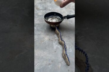 Healthy Egg Cooking.Episode 1.Fire-based cooking | diy fire experiment,explore fire science  #Shorts