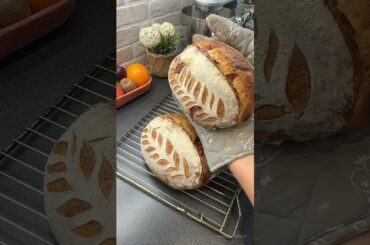 Homemade sourdough cheese bread with buttery aroma  #sourdoughbread #baking