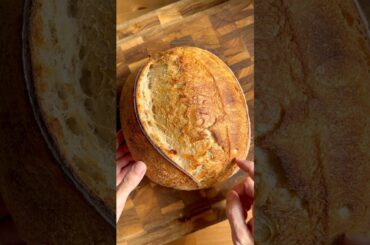 Basic Sourdough #homemade#sourdough#bread#recipe#shorts#tutorial#asmr#satisfying