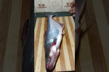 Fish fry recipe/Nikfoods #fish #healthy #viralvideo #youtubeshorts #fry