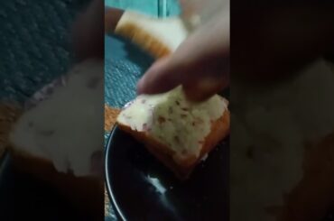 Toaster Sandwich - Easy Aloo Bread Toaster Sandwich Recipe