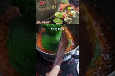 Palak Paneer ft.farah khan #food #recipe #tasty #cooking #indianfood