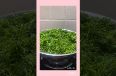 Pesarapappu Soya kura # Healthy Breakfast Recipe#endakalamlo chaluva chese Healthy #telugushorts