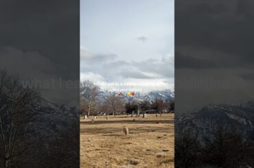 what i ate today while traveling #whatieatinaday #ballerina #balletdancer #healthyrecipes #protein