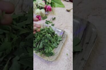 Bathey Ke Healthy Parathe - The Best Weight Loss Recipe || perfect for kids too #trendingshorts