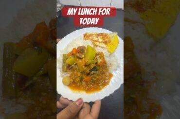 My lunch for today | #sambar #rice with #omlet | #food #healthy #lunch