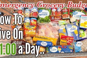 Eating Dinner For $1.60 A Day (Full Month)