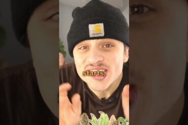 A healthy and tasty snack #cooking #chef #recipe #cheflife #food