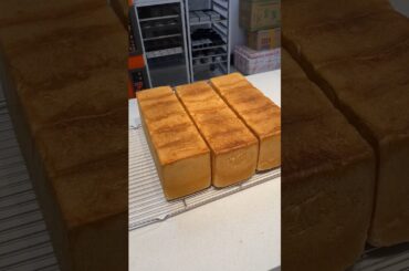 K G F cooking #food #chickencroissant #baking #bakery #howtomakechickenbhunamasala #foodie #bread