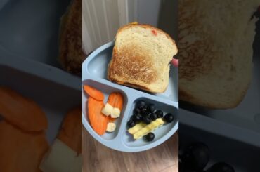 Toddler Meal Ideas, What my Toddler Ate Today, Kid Meal Ideas Healthy Yoddler Meals