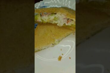 Weight loss sandwich recipe @ShortsBreak_Official #trendingshorts #viralvideo #food #trending
