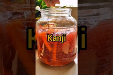 Kanji drink for healthy gut. #drink #kanji #drinks #healthy #shortsvideo #trending #healthyrecipes