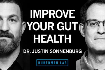 Dr. Justin Sonnenburg: How to Build, Maintain & Repair Gut Health | Huberman Lab Podcast #62