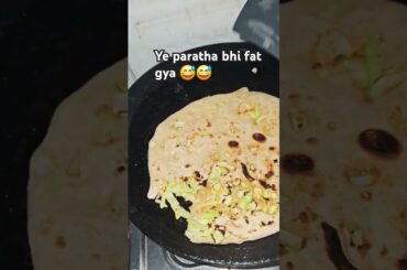 #tag paratha lover #healthy #food #