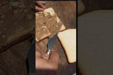 Peanut Butter Sandwich#youtubeshorts #shorts#viral#trending#healthy