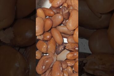 Kids Healthy Lunch Box Recipe school #healthylunchbox #schooltiffinbox #kidshealthyfood #healthyfood