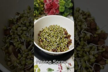 High Protein Salad Recipe | Healthy Salad Recipe #shorts #viralvideo #akshaykumar