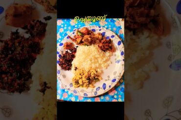 Lunch ideas#cashew #dailyvlogs #lunchmenu #youtubeshorts