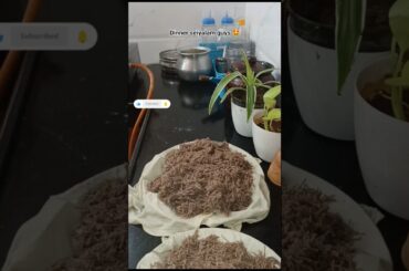 thirumba thirumpa samaikka thonum/easy recipe #tasty #dinner #trending #viral #healthyfood #cooking