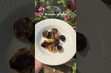 Trying something new #brussels #healthyrecipes #vlogs #whatieatinaday