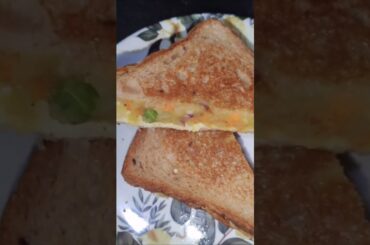 Healthy Vegetable Sandwich #shorts #ytshorts #trending #viralshorts