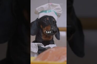 Dog Cooking: Delicious Homemade Treats for Your Furry Friend!"