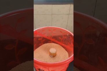 Palak Rice| Healthy Lunch Recipe|#cooking #lunch #ideas #healthy #recipe #homecook #trending #happy