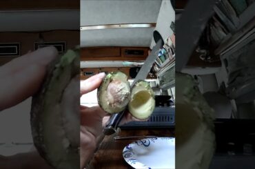 simple meal for a simple day #budgetmeals #vanlife #solofemalevanlife #easybreakfast #nomad #healthy