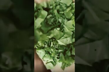 Healthy Spinach and Beetroot Puree #trending #cookingideas #cookingforkids #DeekshaDazzlingVlogs