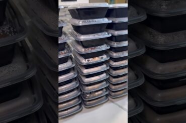 Storing Meal Prep and Keeping it Fresh