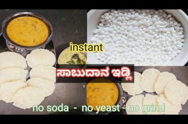 Sabudana Idli Recipe | Healthy Breakfast Recipes | Sago idli Recipe | Sabudana Recipes | Idli Recipe