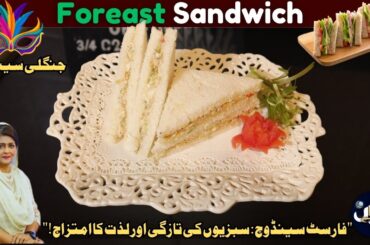 Foreast Sandwich I Healthy Iftar recipes |  Easy breakfast Sandwich Ideas I Ramadan Dil Say