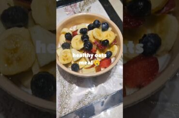 #bollywood healty oat meal #health #lowcalorie #tastyfood #trending  #breakfast #viralvideo #shorts