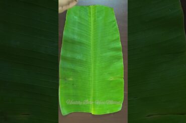 Meals at Home #lunch #lunchidea #healthylunch #healthy #recipe  #homemade #cooking #foodie #thali