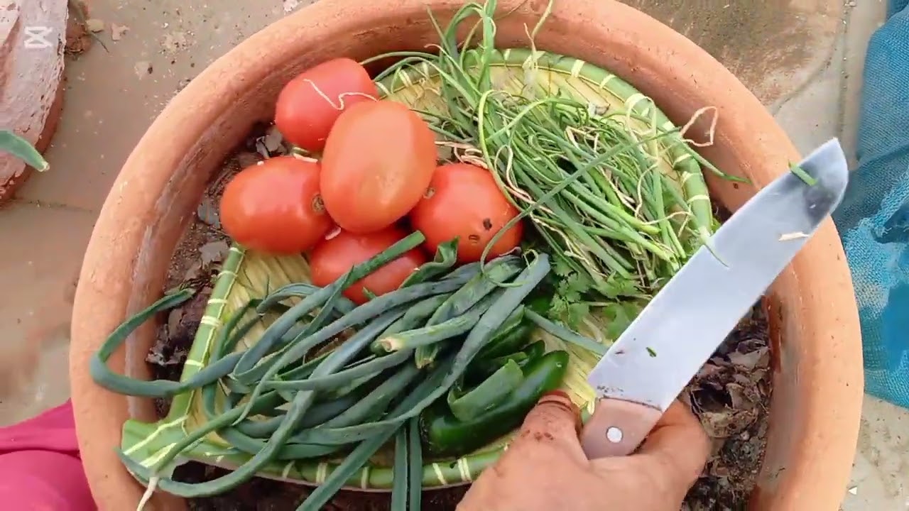 Healthy And Tasty Kachumber Salad Recipe / How To Make Healthy Salad For Weight Loss Healthy And Tasty Kachumber Salad Recipe / How To Make Healthy Salad For Weight Loss