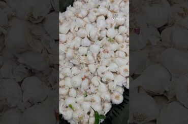 homemade ginger garlic paste #healthy #recipe #motivation #ytviral #shortsfeed #tips #likesubscribe