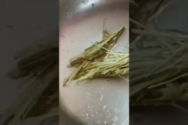 Drumstikck healthy recipes pm modi paratha favorite moringa#viralshorts