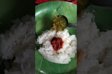 healthy home made meals # for lunch #dal with pickle and curd combination